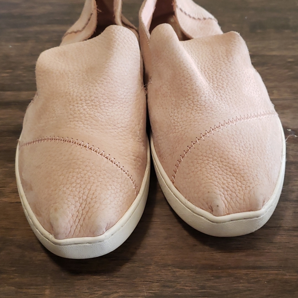 TOMS - Picture 3 of 7